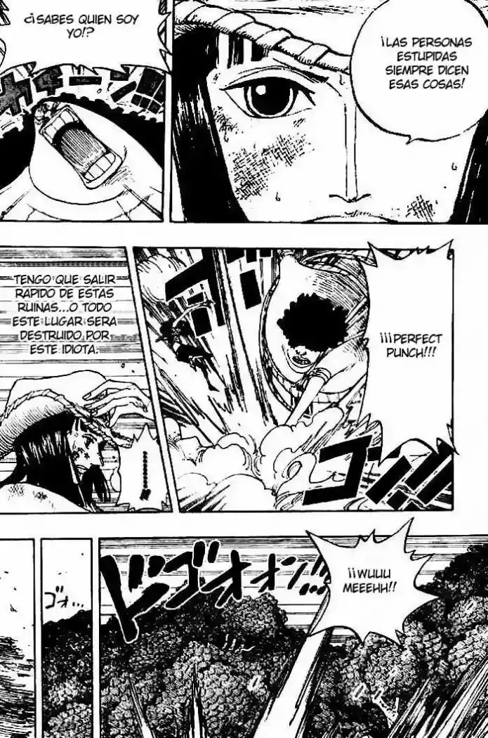 One Piece Capitulo 264 página 10