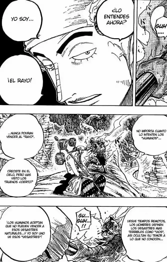 One Piece Capitulo 264 página 13