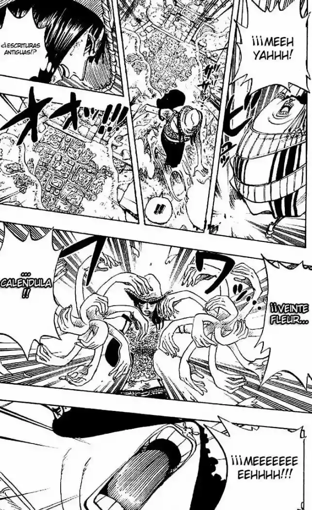 One Piece Capitulo 264 página 8