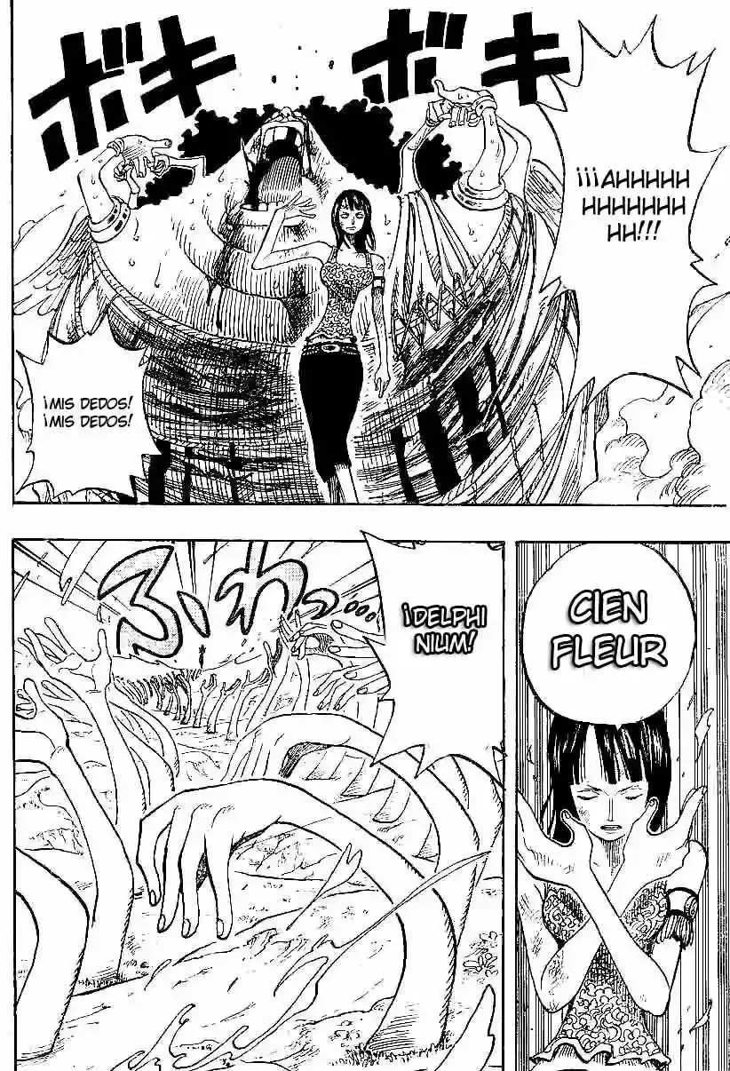 One Piece Capitulo 265 página 16