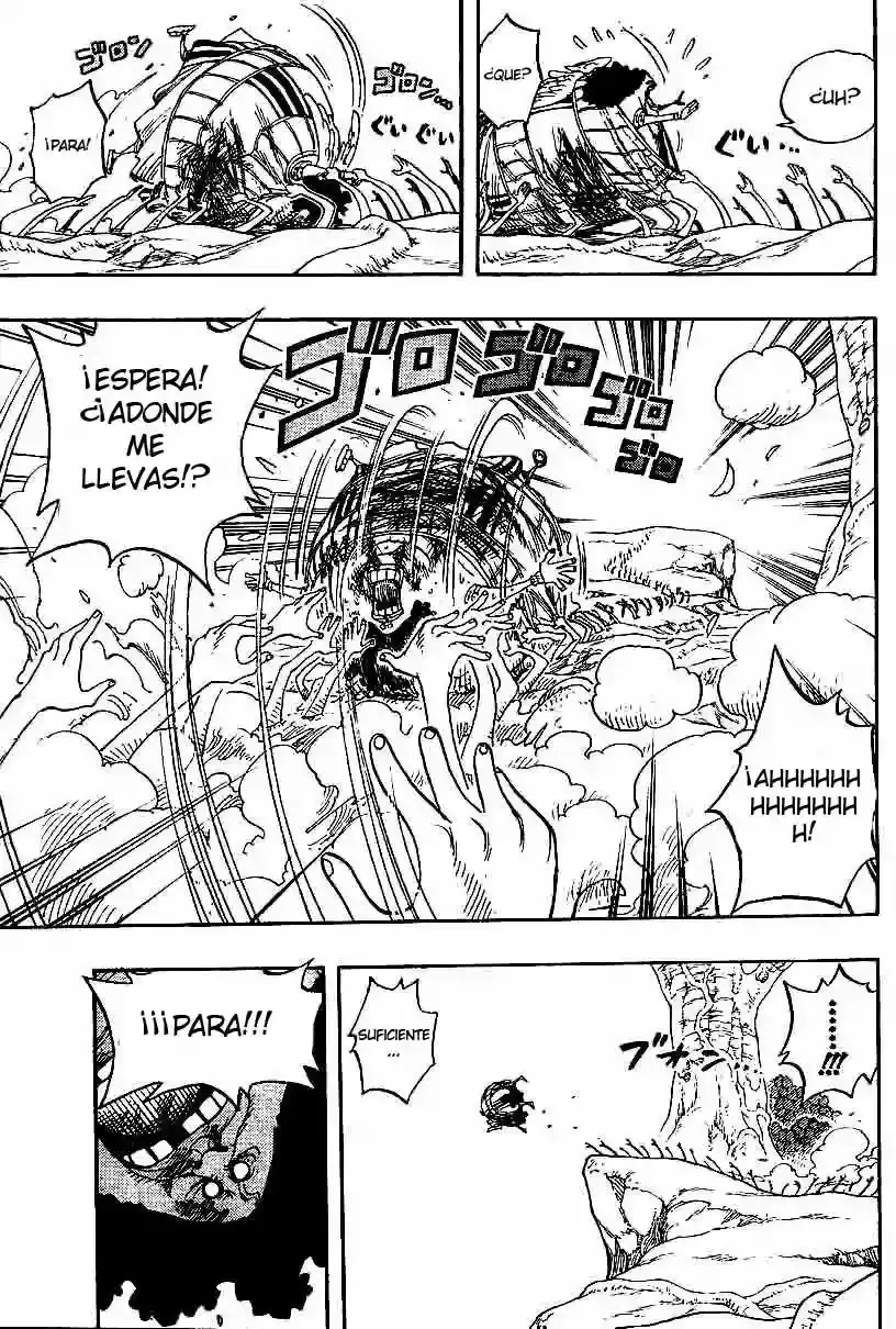 One Piece Capitulo 265 página 17