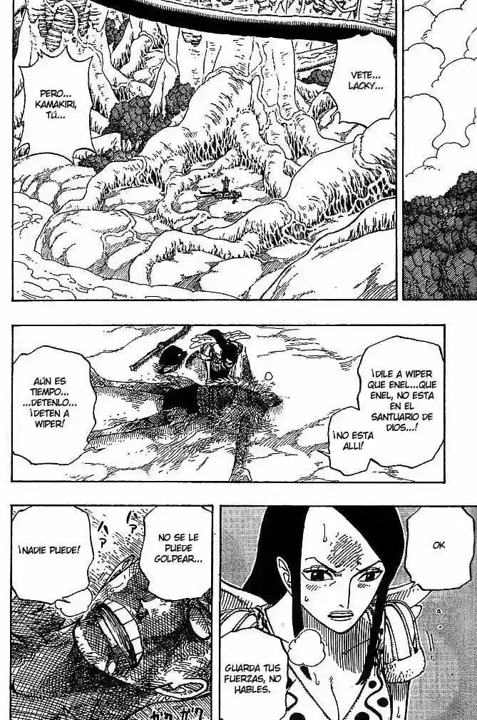 One Piece Capitulo 266 página 12
