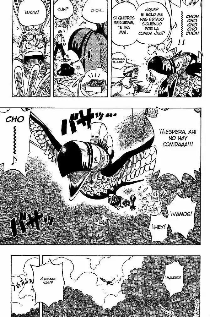 One Piece Capitulo 266 página 15