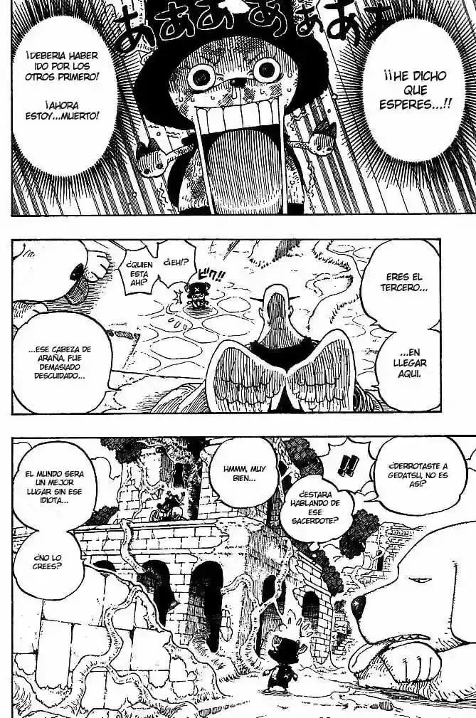 One Piece Capitulo 266 página 8
