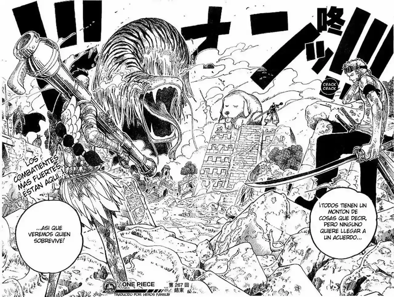 One Piece Capitulo 267 página 17