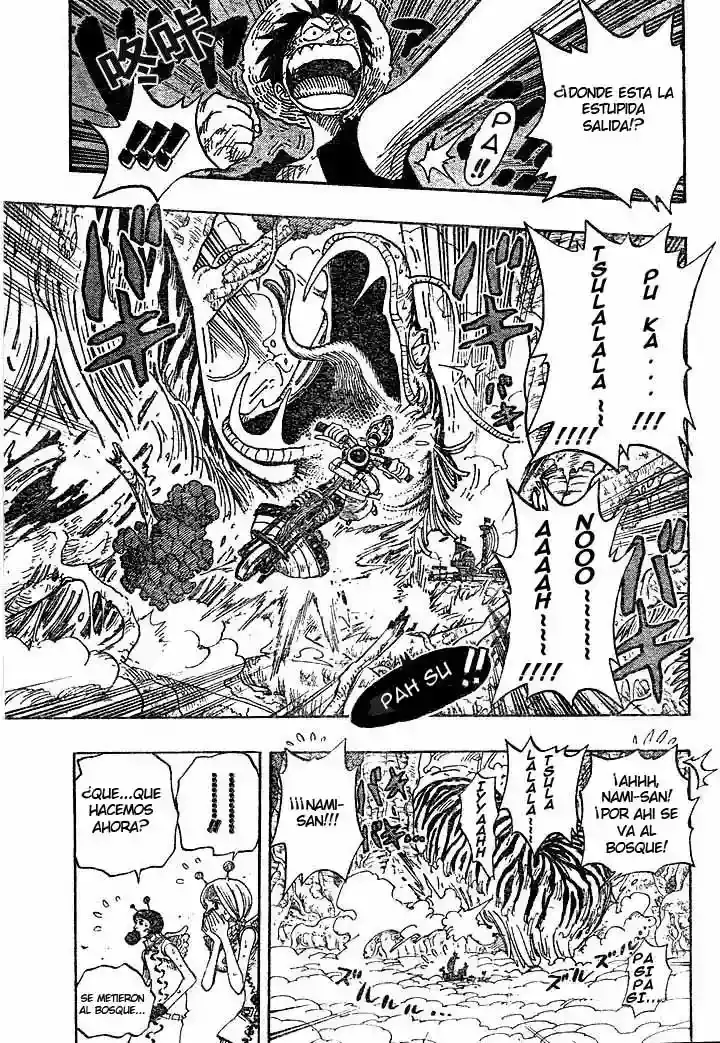 One Piece Capitulo 267 página 5