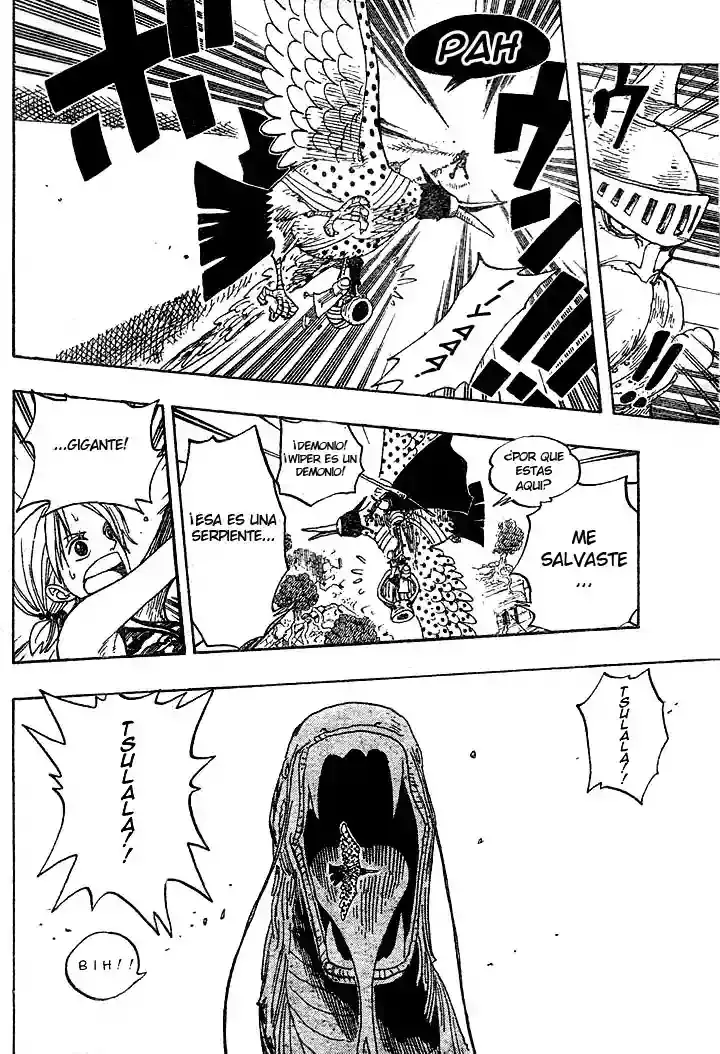 One Piece Capitulo 269 página 15