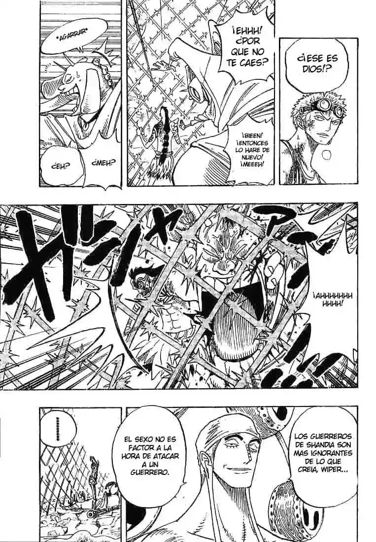 One Piece Capitulo 270 página 13
