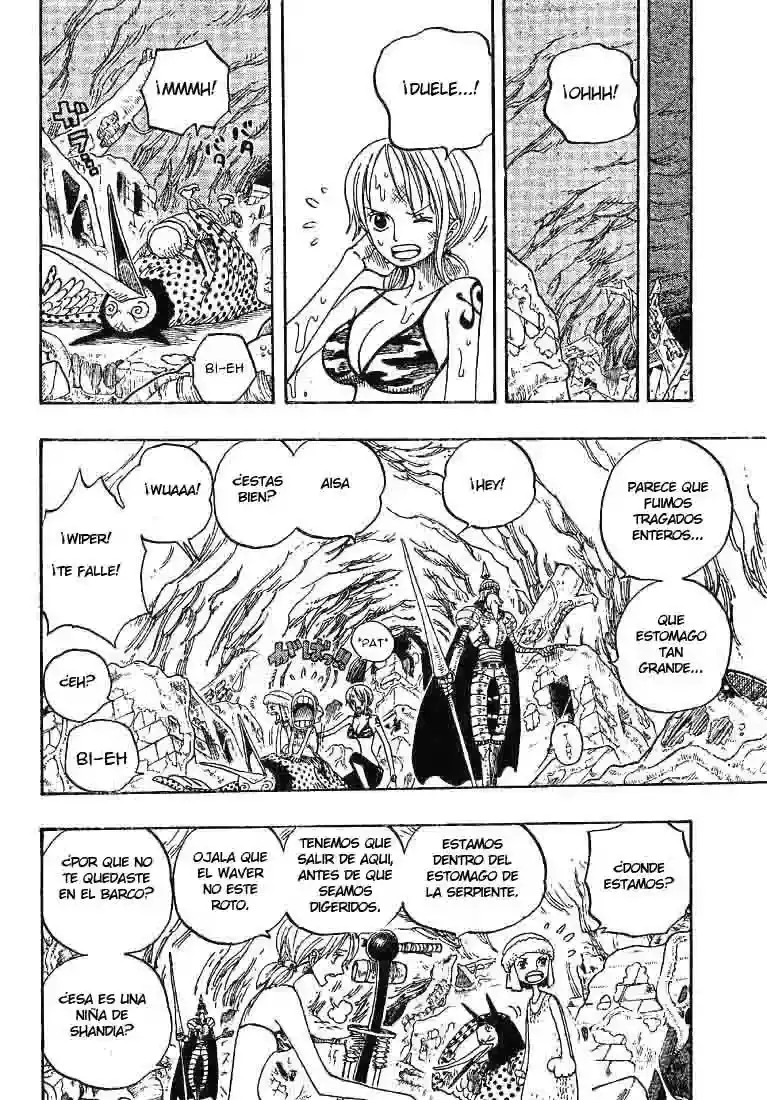 One Piece Capitulo 270 página 18