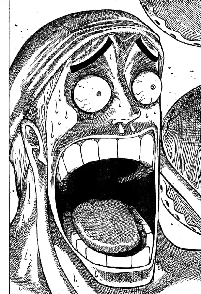 One Piece Capitulo 279 página 16