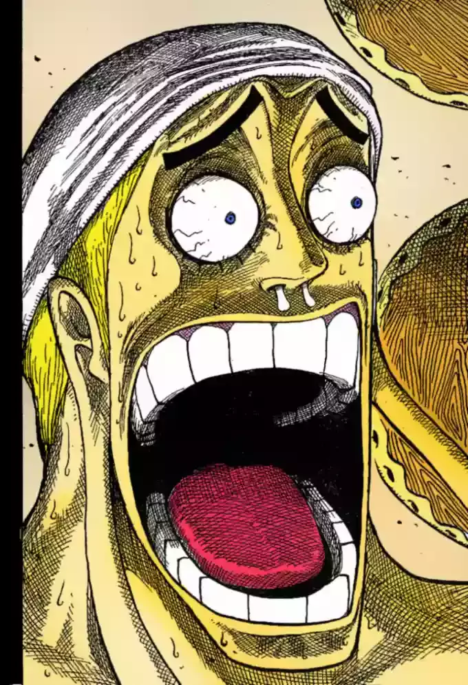 One Piece Capitulo 279 página 17