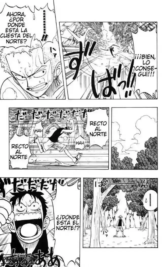 One Piece Capitulo 29: "La Cuesta" página 11