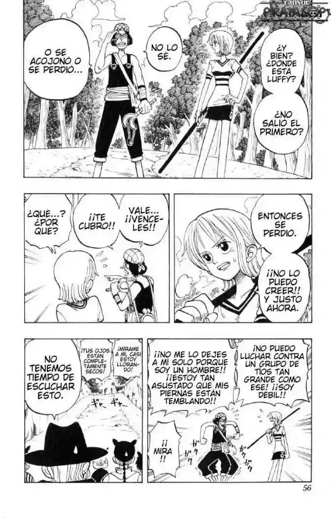 One Piece Capitulo 29: "La Cuesta" página 8