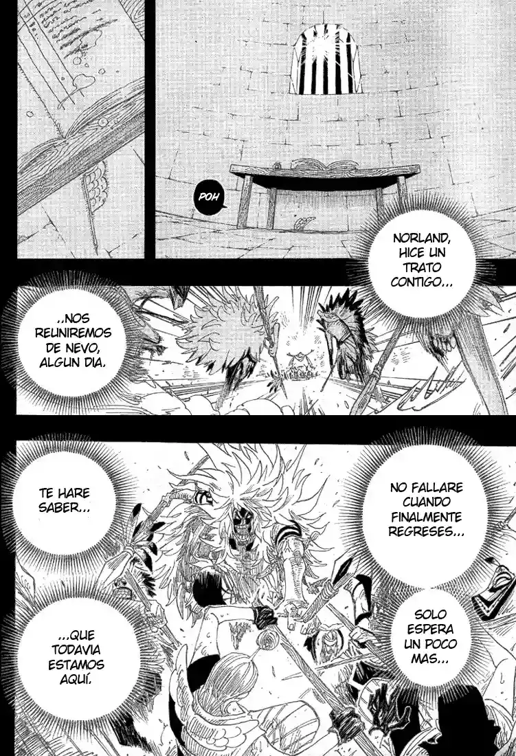 One Piece Capitulo 292 página 17