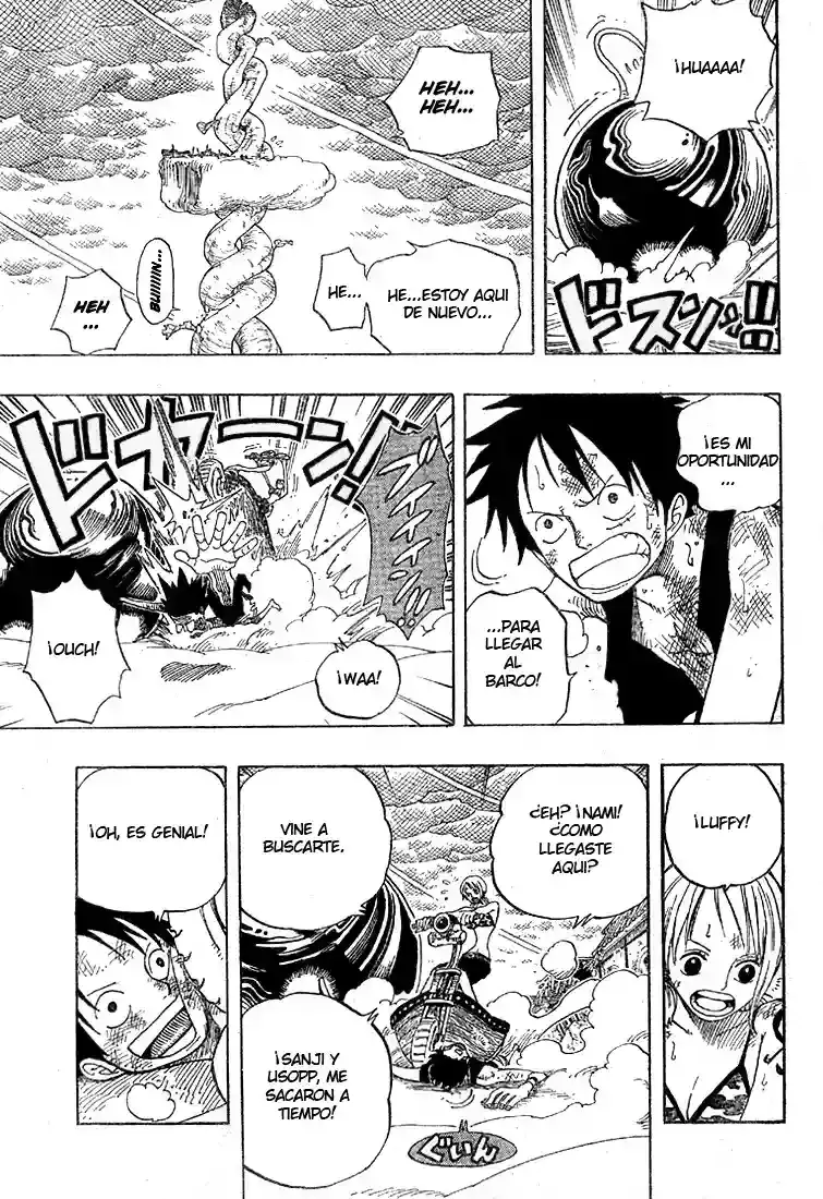One Piece Capitulo 294 página 9