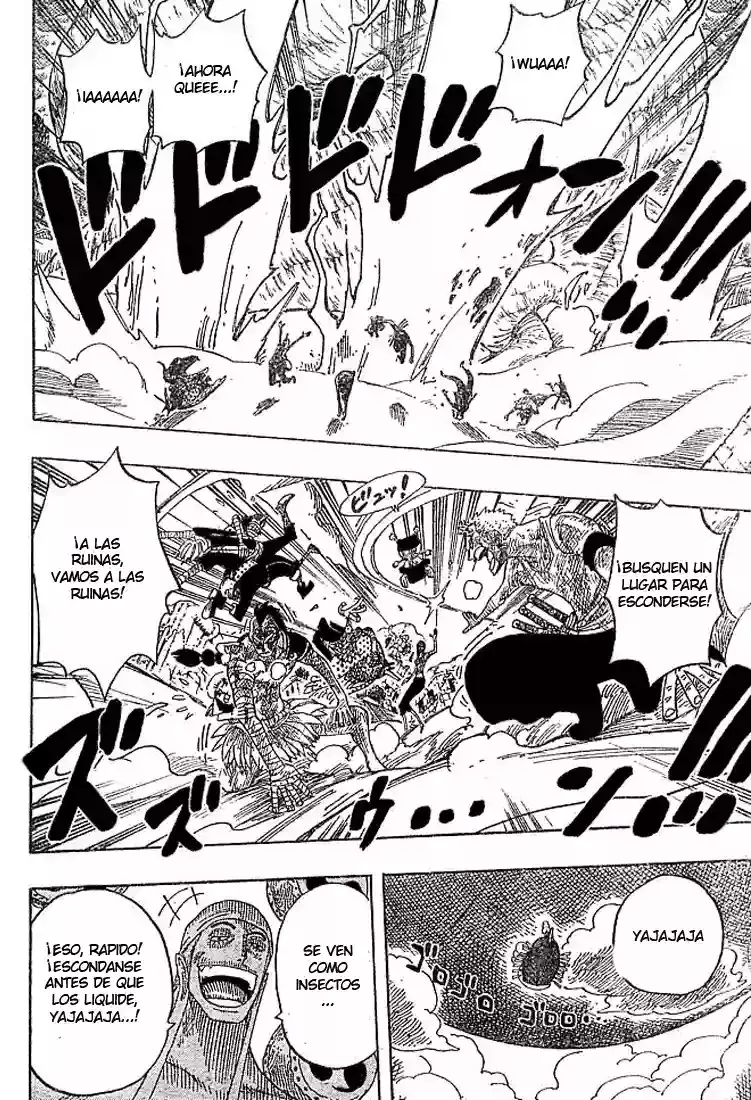 One Piece Capitulo 295 página 16