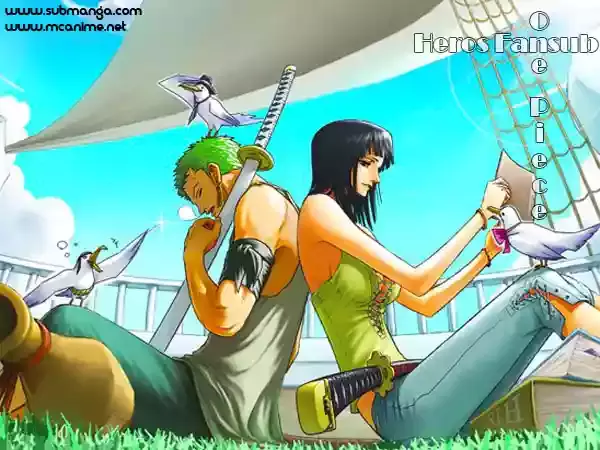 One Piece Capitulo 295 página 18