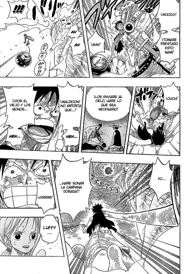 One Piece Capitulo 295 página 5