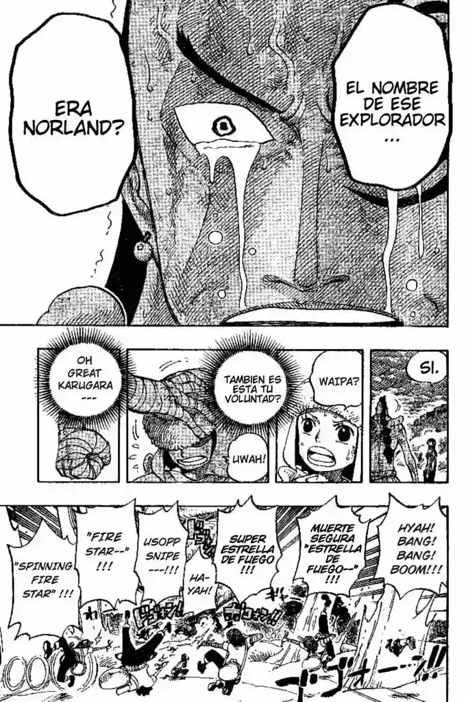One Piece Capitulo 296 página 13