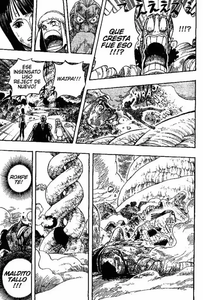 One Piece Capitulo 296 página 15