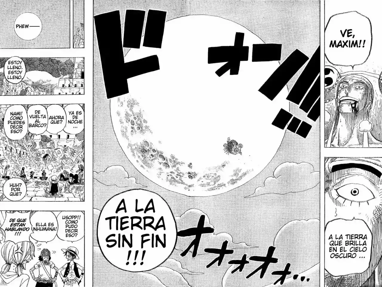 One Piece Capitulo 300 página 12