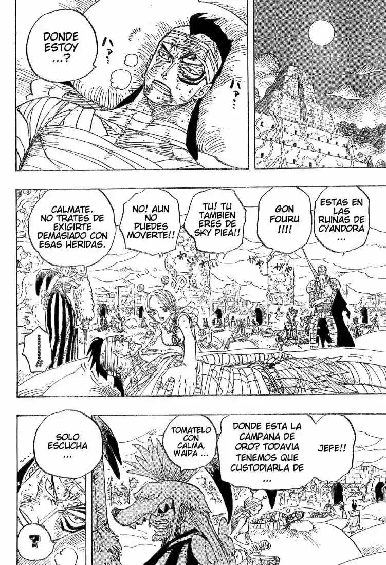 One Piece Capitulo 300 página 13