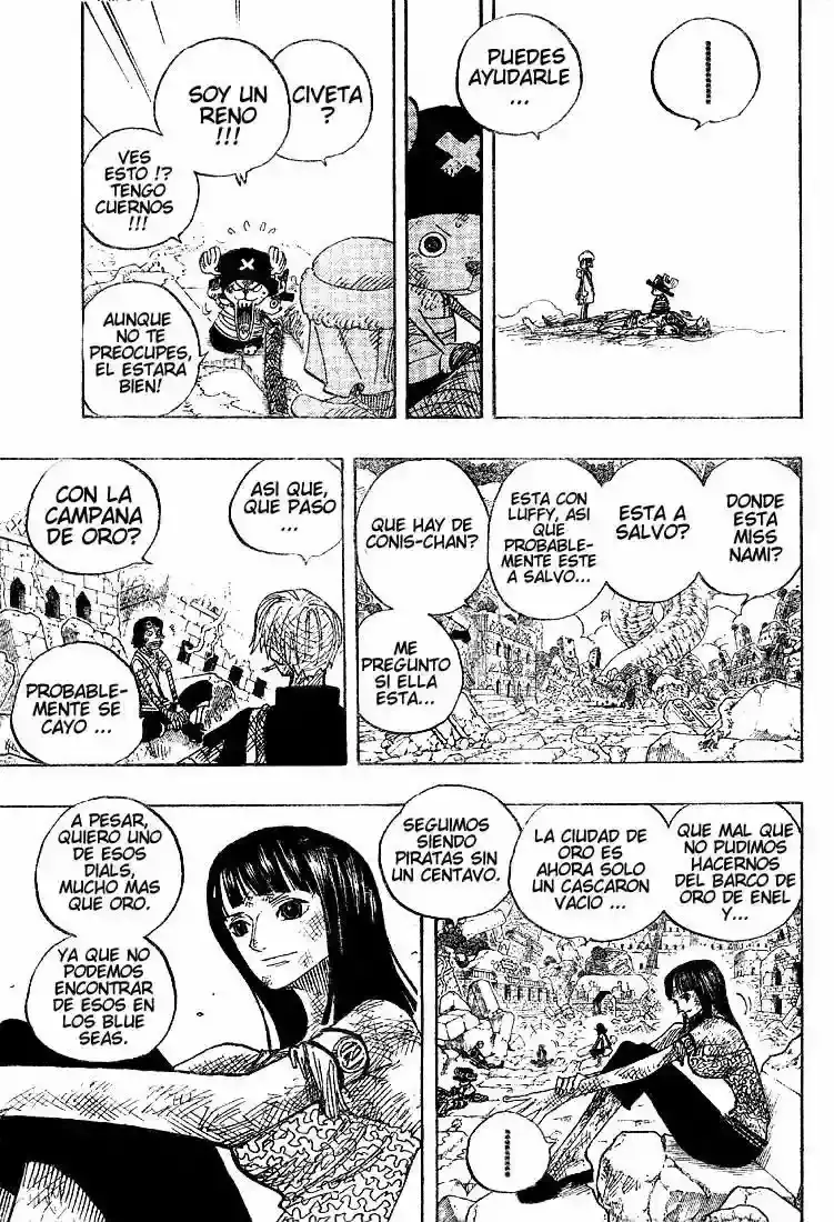 One Piece Capitulo 300 página 5