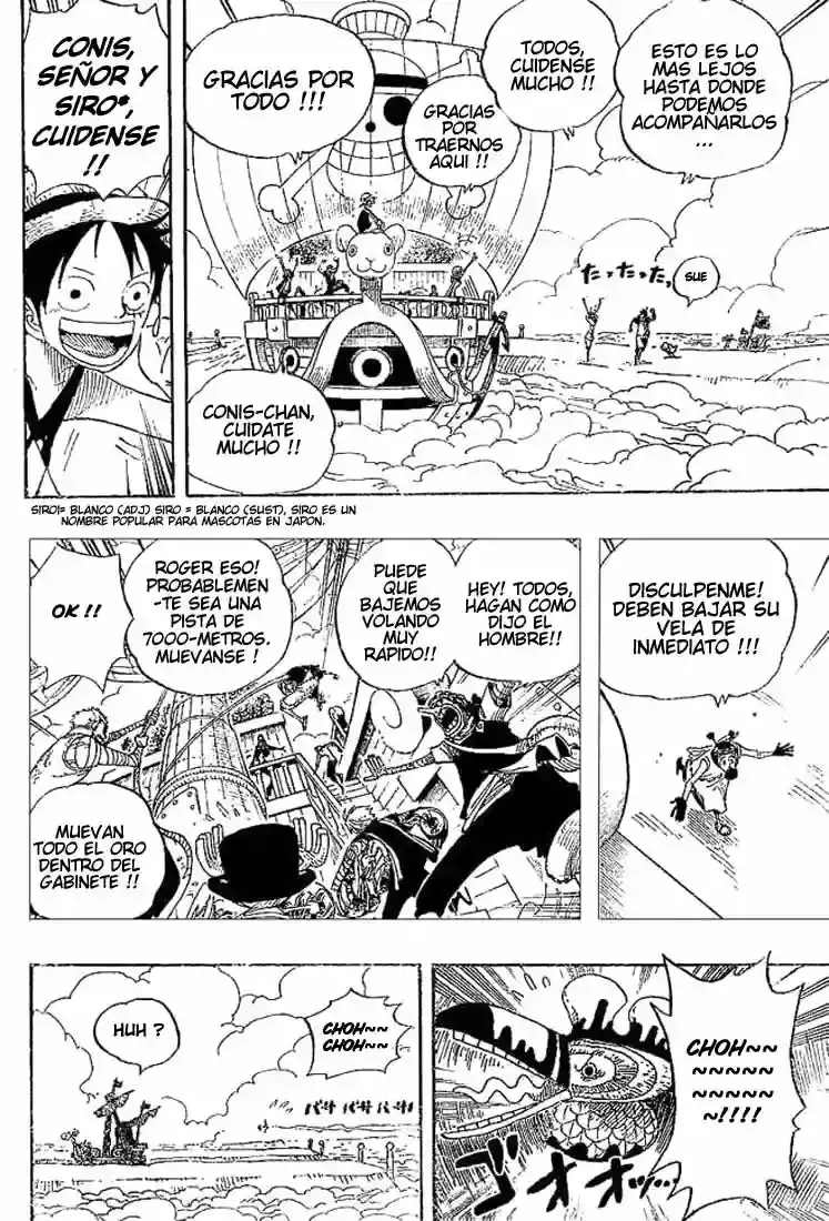 One Piece Capitulo 302 página 10