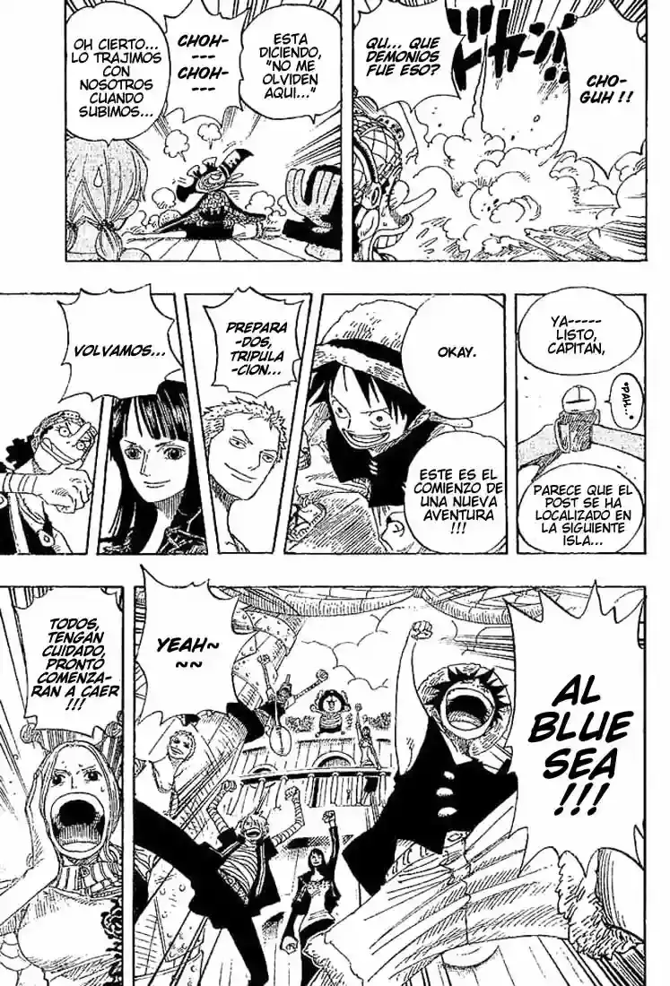 One Piece Capitulo 302 página 11