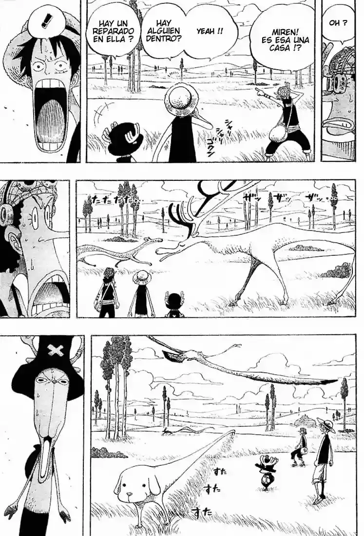 One Piece Capitulo 304 página 13