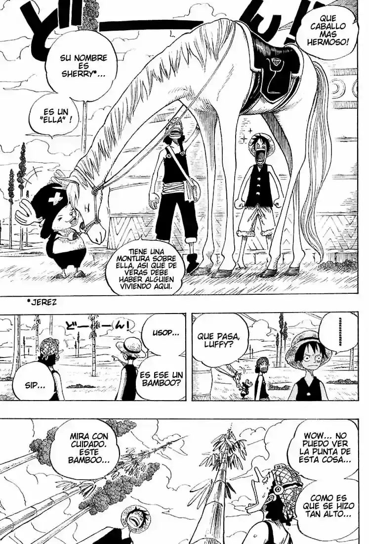 One Piece Capitulo 304 página 15