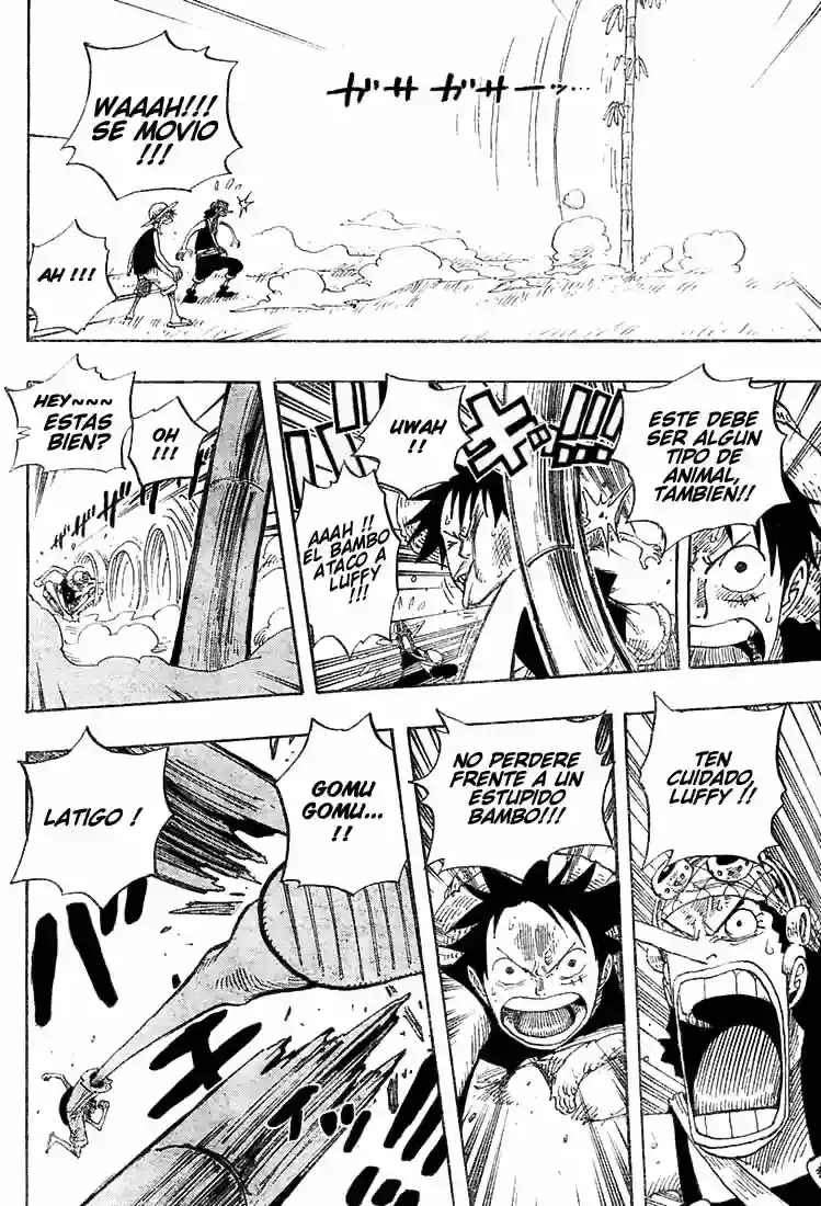 One Piece Capitulo 304 página 16