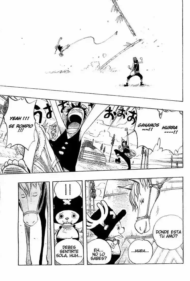 One Piece Capitulo 304 página 17