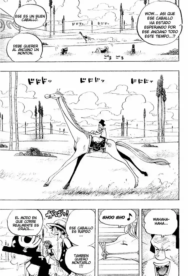 One Piece Capitulo 305 página 11