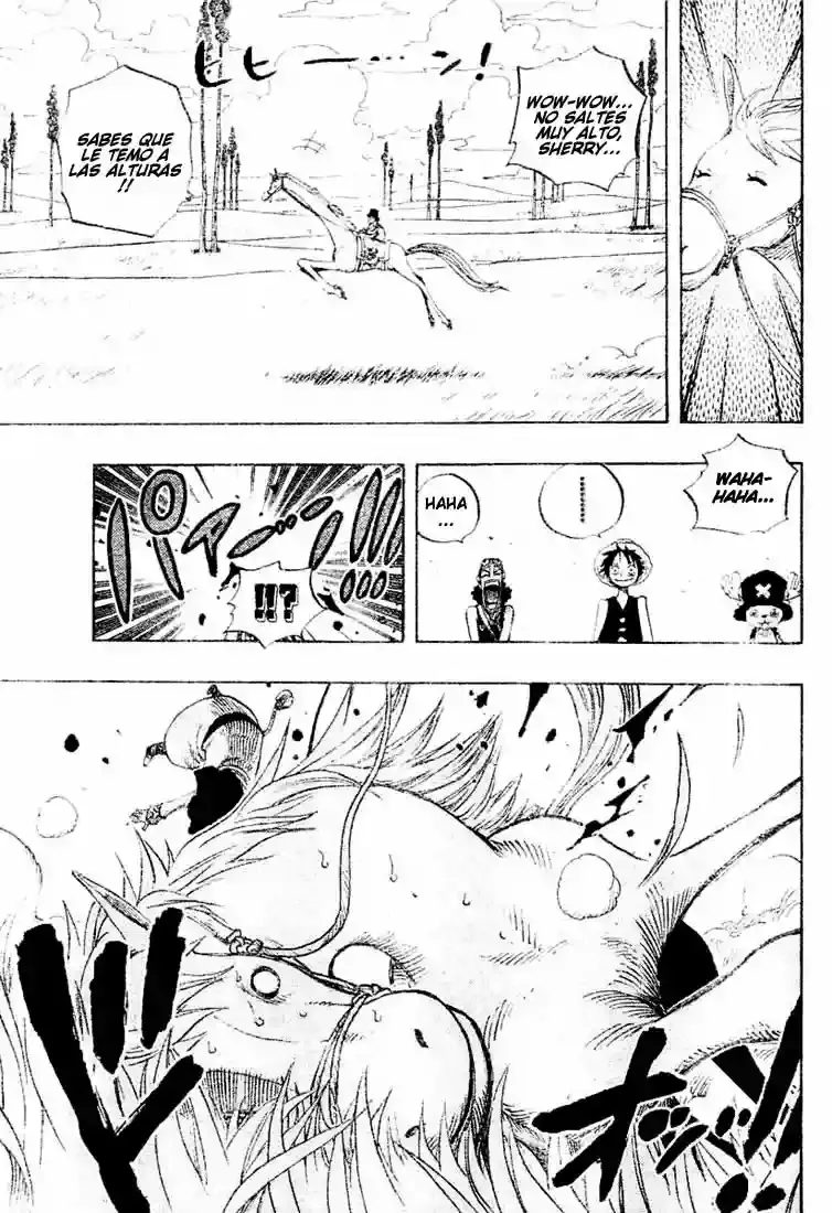 One Piece Capitulo 305 página 13