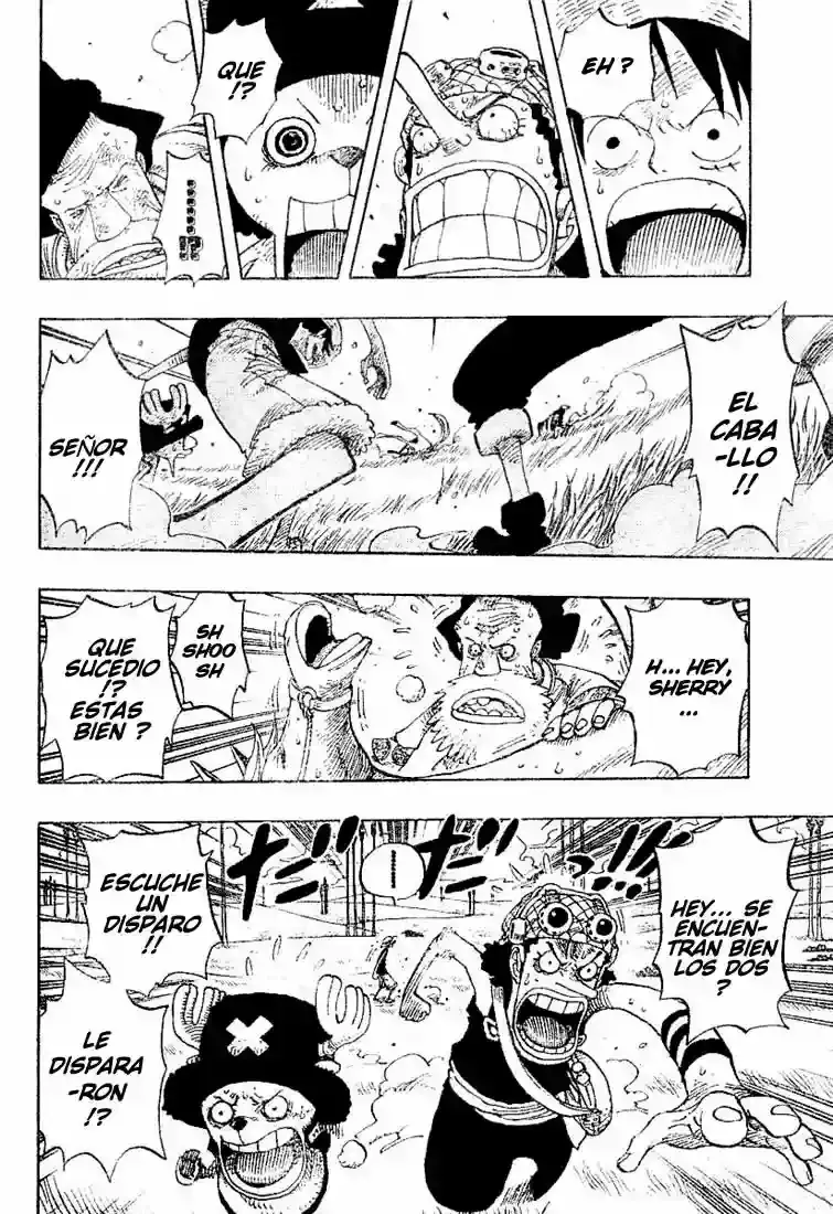One Piece Capitulo 305 página 14
