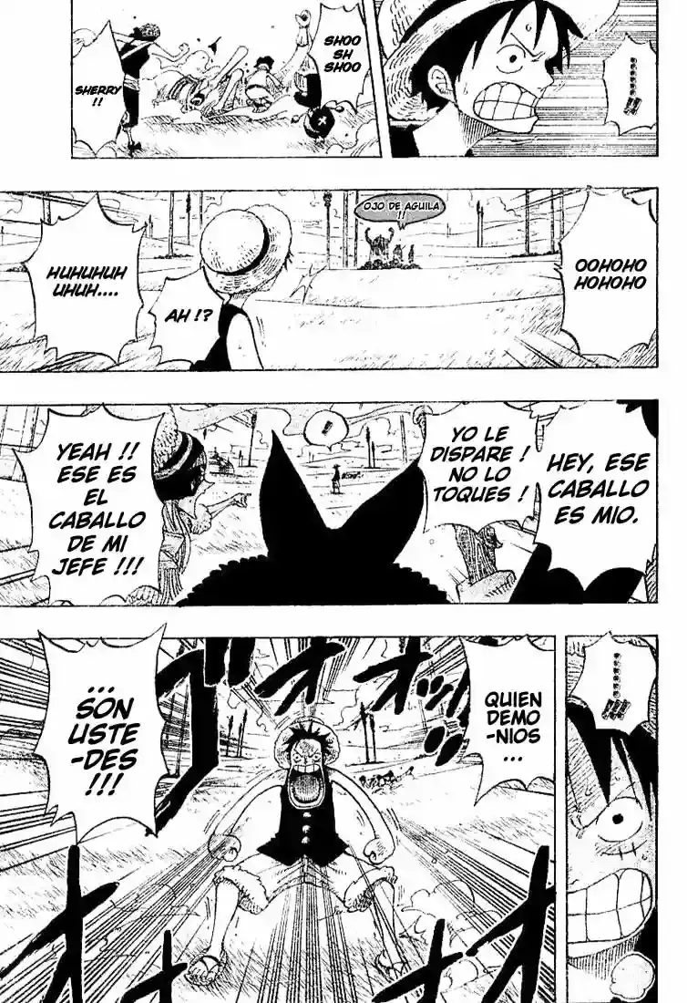 One Piece Capitulo 305 página 15