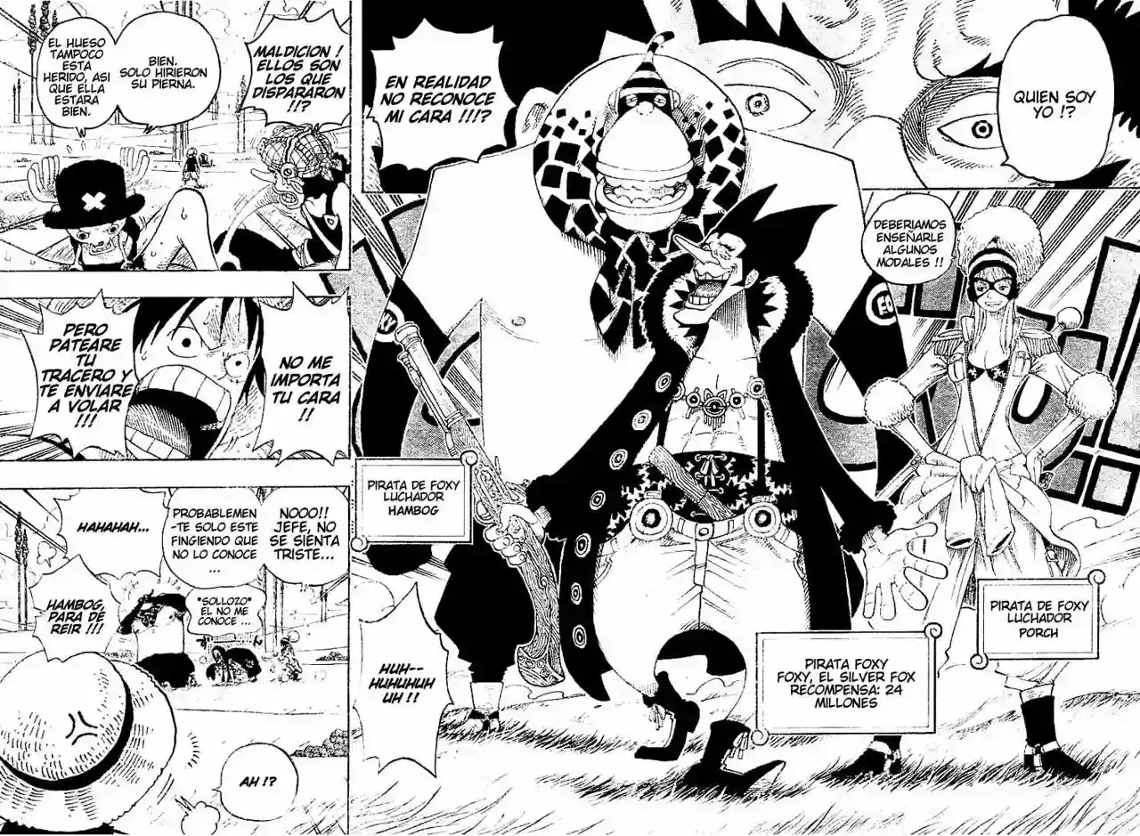 One Piece Capitulo 305 página 16
