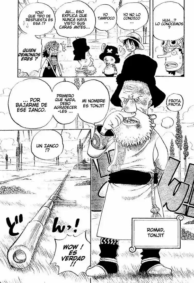 One Piece Capitulo 305 página 3