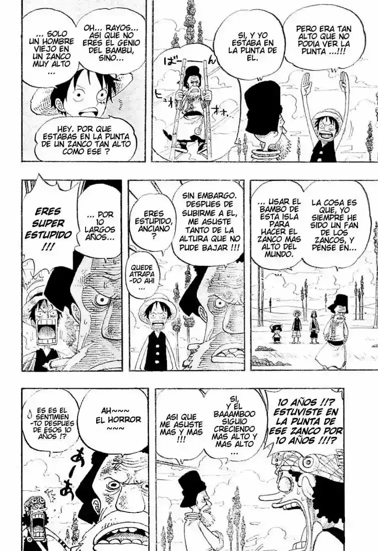One Piece Capitulo 305 página 4