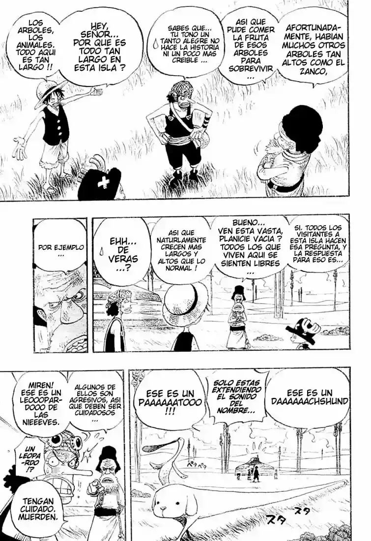 One Piece Capitulo 305 página 5