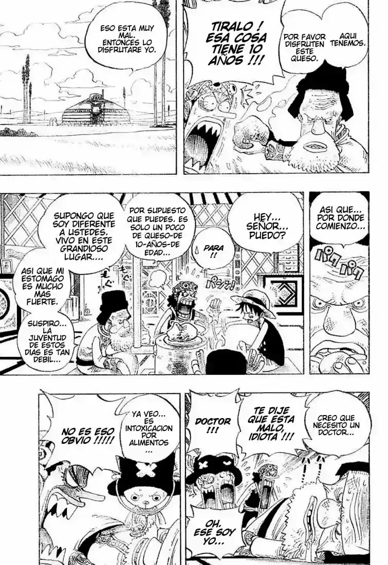 One Piece Capitulo 305 página 7
