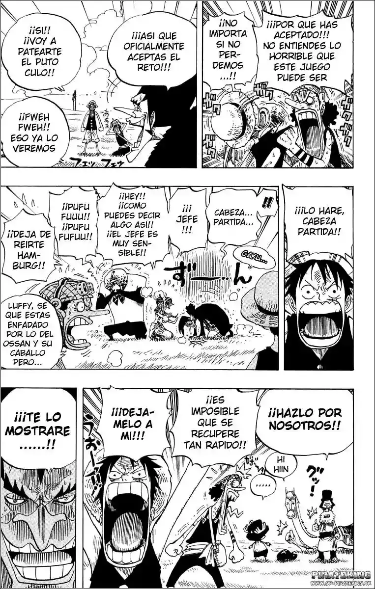 One Piece Capitulo 306 página 18