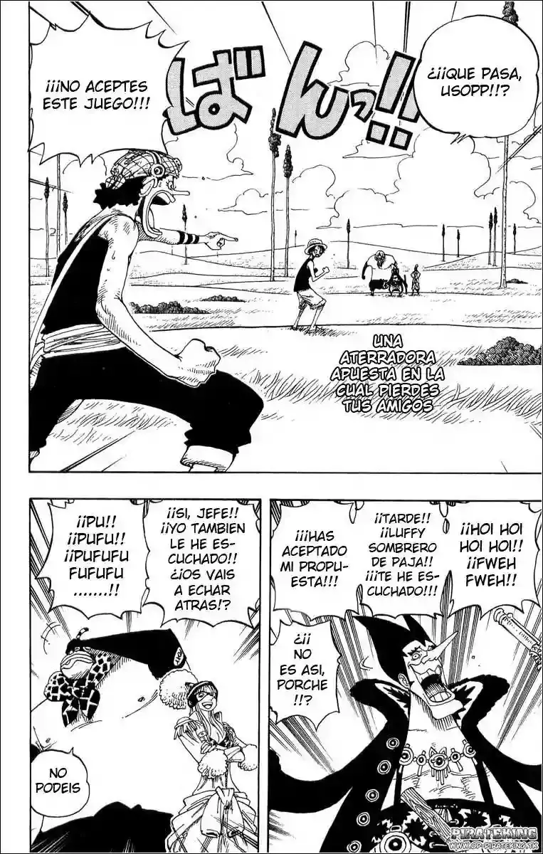 One Piece Capitulo 306 página 9