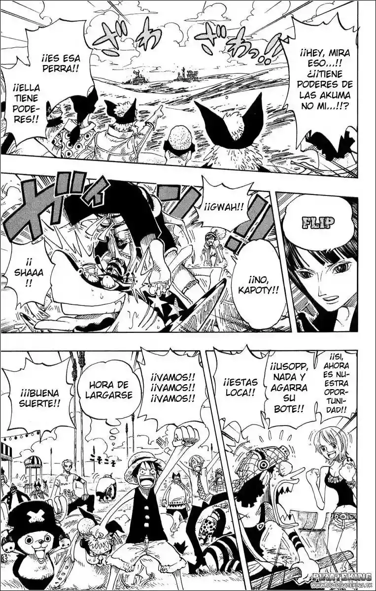 One Piece Capitulo 307 página 11