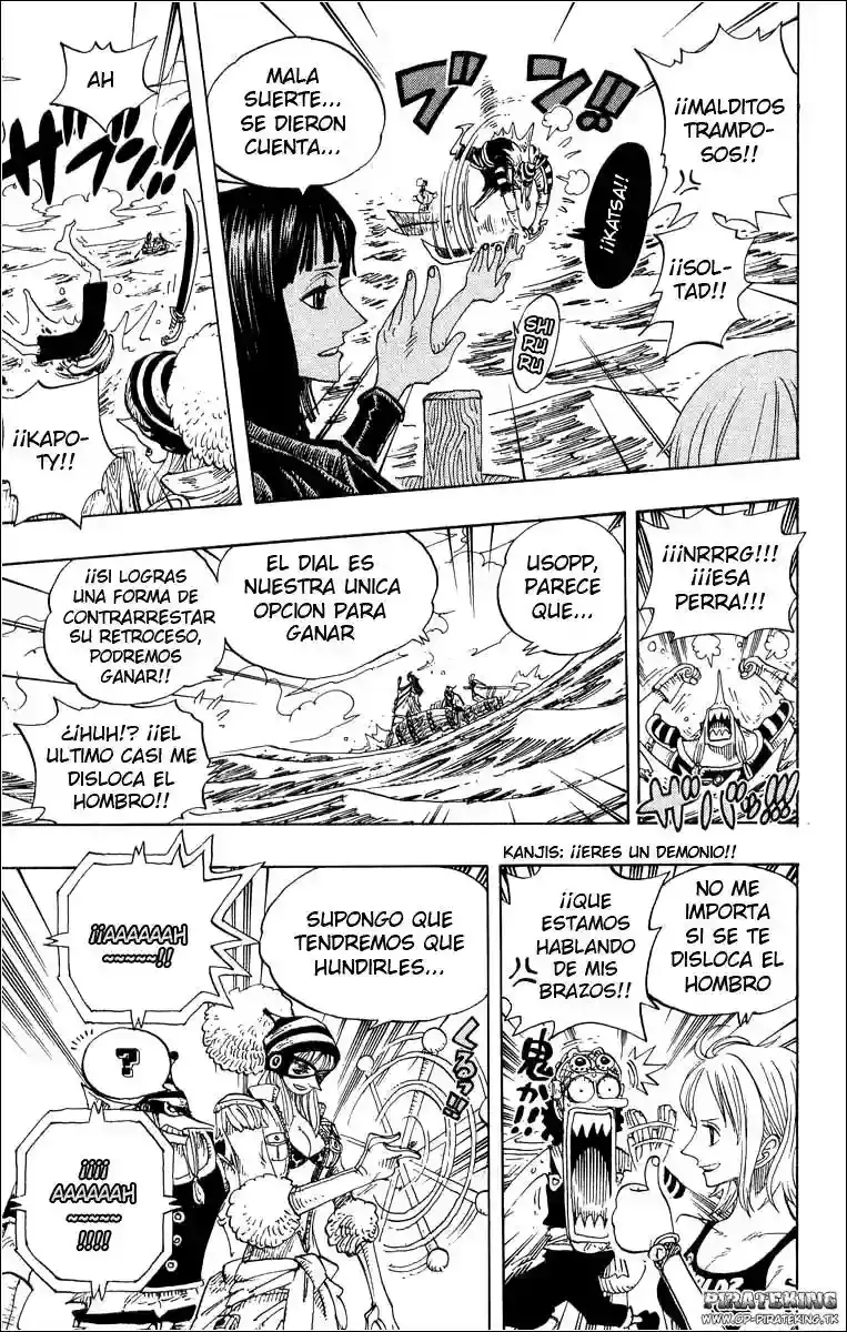 One Piece Capitulo 307 página 17