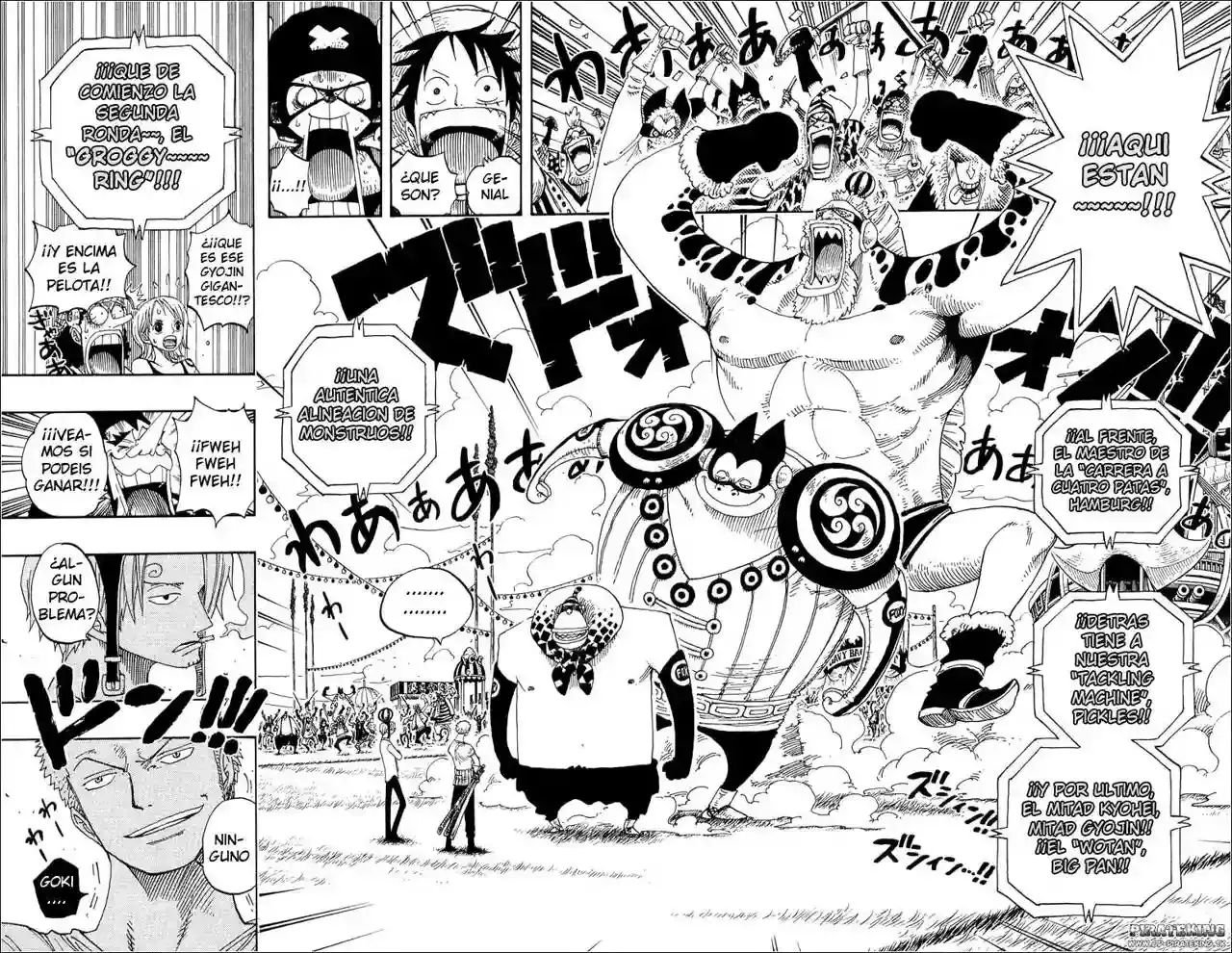 One Piece Capitulo 309 página 17