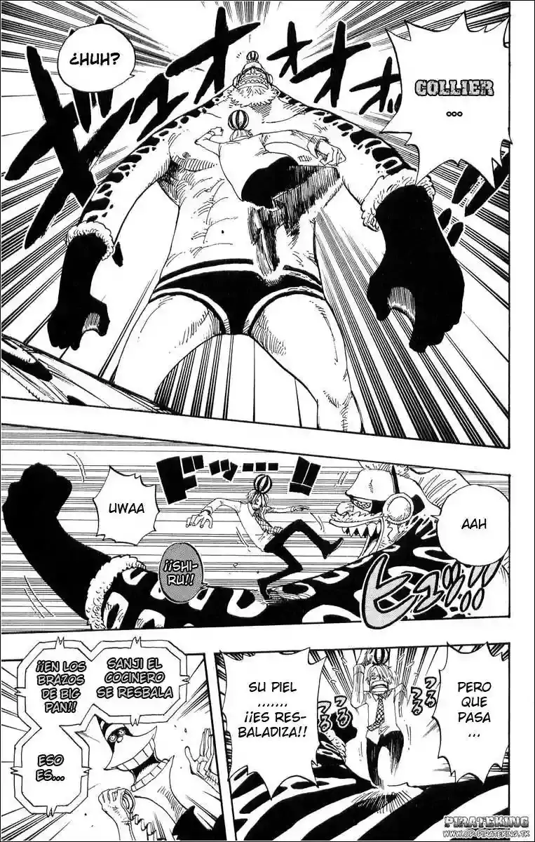One Piece Capitulo 310 página 12