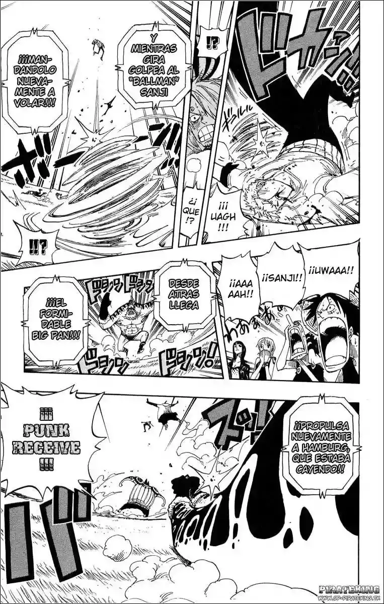 One Piece Capitulo 310 página 16