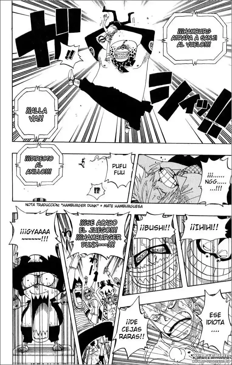 One Piece Capitulo 310 página 17